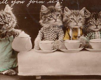 Antique anthropomorphic cats postcard: kittens tea party