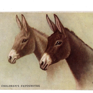 May include: Vintage postcard featuring two donkeys in profile, one brown and one dark brown, set against a light background. The text "THE CHILDREN'S FAVOURITES" is at the bottom, with "ALPHA" in the corner. The image has a classic, aged aesthetic.