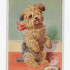 Antique puppy dog art postcard - Florence E Valter illustration, scruffy terrier pup, begging dog, artist signed, vintage art picture