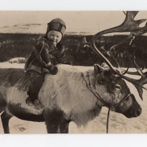 Antike kleine Fotopostkarte mit Junge & Rentier - Dänemark, Lappland, niedliches Familienporträt, Weihnachten, Winterurlaub im Wunderland, Sozialgeschichte