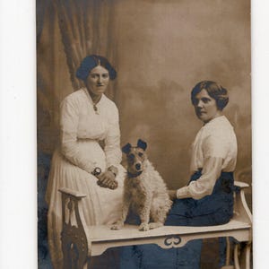 Vintage wire fox terrier dog & women photo - sepia photo, old family photo, pet portrait, black and white, social history, studio portrait