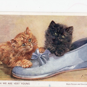 Cartolina d'epoca con gattini di Mabel Gear - Gatto persiano nero, rosso, giocoso, illustrazione, ritratto di animale domestico, piccola immagine, gatti in una scarpa