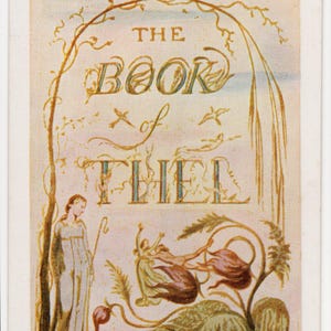 Cartão postal de arte vintage de William Blake - O Livro de Thel, Museu Britânico, poeta inglês, pintor, artista, pintura, movimento romântico, imagem