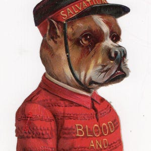May include: A vintage illustration of a bulldog in a Salvation Army uniform. The dog wears a red jacket with "BLOOD AND FIRE" in gold text and a hat with "SALVATION". The dog has brown and white fur, with a serious expression.