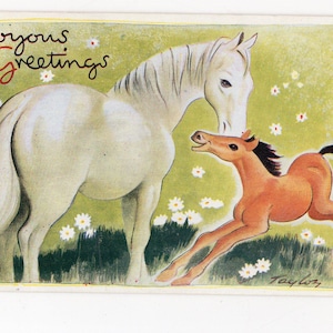 Carte postale vintage antique d'art de cheval et de poulain - Taylor, poney brun blanc, carte de voeux, artiste signée, nouveauté, milieu du siècle, animaux de compagnie de récréation