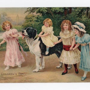 Cartão postal antigo de crianças e cachorro de estimação - Colegas de brincadeira, irmãos, irmãs, meninas, cartão postal de arte Misch & Co, querido, animal de estimação da família