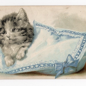 Cartolina antica raffigurante un gattino e un cuscino blu - graziosa cartolina illustrata, in rilievo, soffice gattino grigio, fiocco blu, tema animale, ritratto di animale domestico