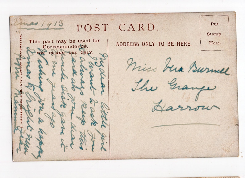 Edwardian postcard cat kitten art pet portrait M Stocks artist signed Antique cats kittens art postcard ginger /& tabby cats