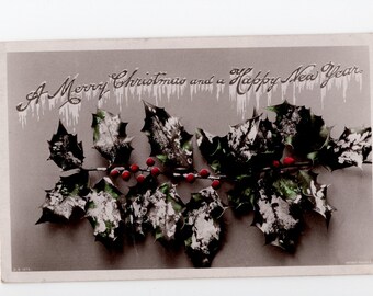 Vraie carte postale photo houx antique : carte de Noël teintée