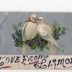 Antike weiße Tauben Gruß-Postkarte - glitzernde, geprägte Turteltauben Bild, Lismore, Schottland, Victoriana, Valentine's