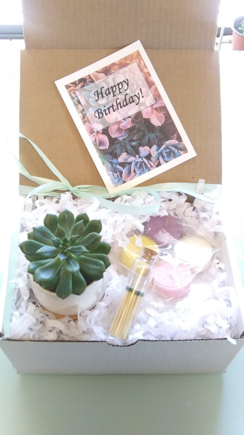 Succulent Gift Box Happy Birthday Gift Box Birthday Gift