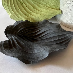 Könnte beinhalten: Eine schwarze, blattförmige Schale aus Beton mit einer strukturierten Oberfläche. Die Schale ist so gestaltet, dass sie einem echten Blatt ähnelt.
