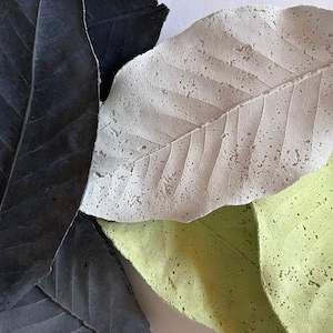 コンクリート製マグノリアの葉の皿