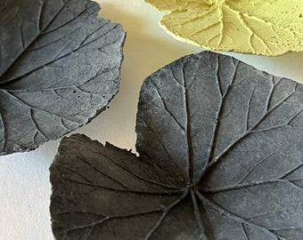 Plato de hojas de geranio