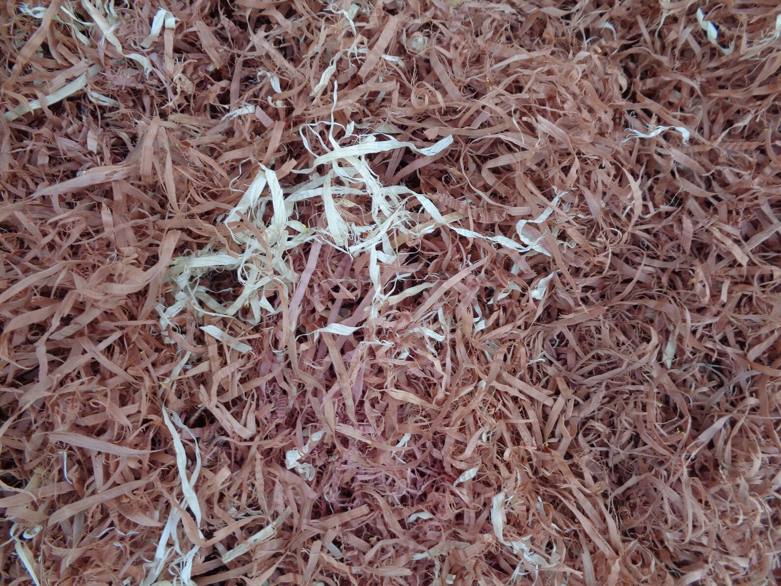 Cedar Shavings Home Fragrance Potpourri Insect Repellent Etsy