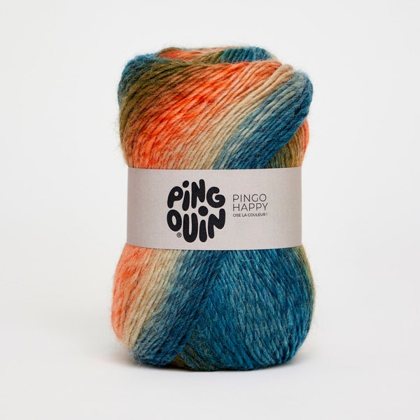 Fil de laine peignée DK Pinqouin Pingo happy, fil de laine arc-en-ciel, laine superwash multicolore, fil varié