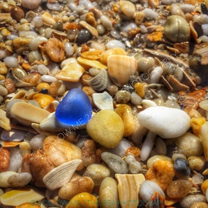 May include: A close-up of a beach with a variety of smooth, colorful stones and shells. A single, bright blue sea glass piece stands out against the background of yellow, brown, and white stones.