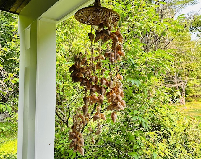 Vintage 60s Large Seashell Chandelier Seashell Wicker Beach Hat Chula Shell wind chime Nautical Decor Beach Decor Tiki Hut Decor Shell Chime