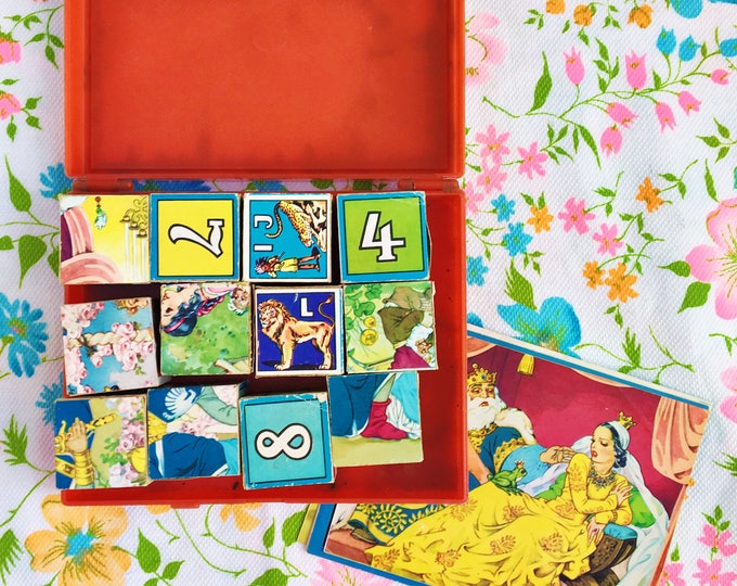 Vintage 1950s ABC Blocks and Case, Vintage Hermann Eichhorn ABCs Numbers Blocks with Pictures, 1950s West German Children's Puzzle Blocks