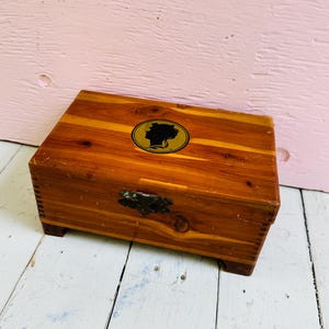 Op de afbeelding: Een rechthoekige houten doos met een natuurlijke houtnerfafwerking, voorzien van een donkere metalen sluiting aan de voorzijde en een rond goudkleurig embleem op het deksel met een zwart silhouet van een gekroond persoon, rustend op vier kleine pootjes.