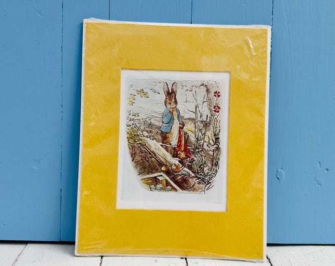 Vintage 1976 Peter Rabbit Print in Original Packaging Beatrix Potter Nursery Wall Art