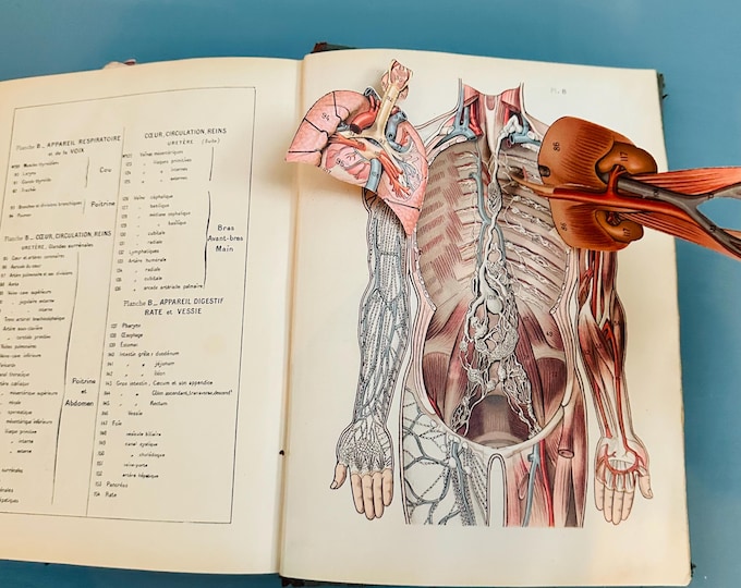 Antique 1923 Larousse Medical Illustrated Book French Anatomy Atlas Medical Reference Dark Academia Decor Anatomical Plates Paris France