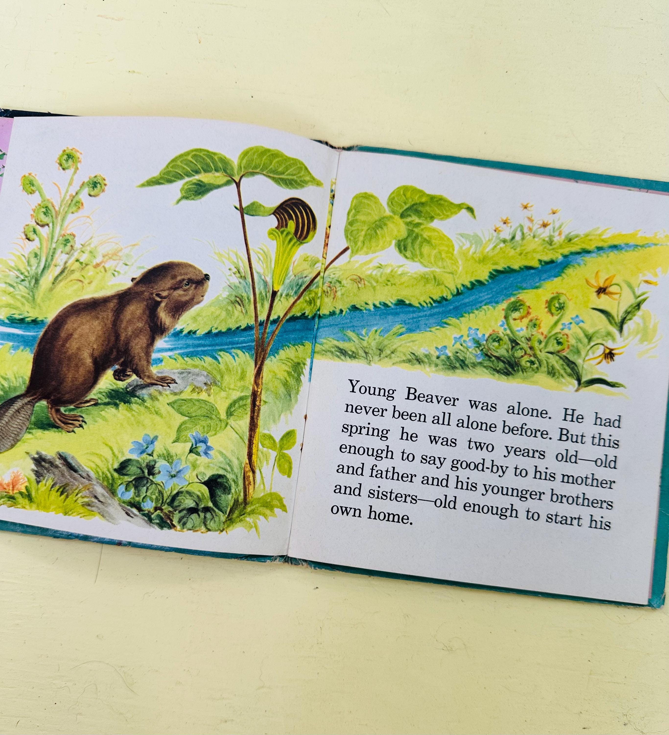 50's Storybook in Vintage Green 50's Storybook in Vintage Green