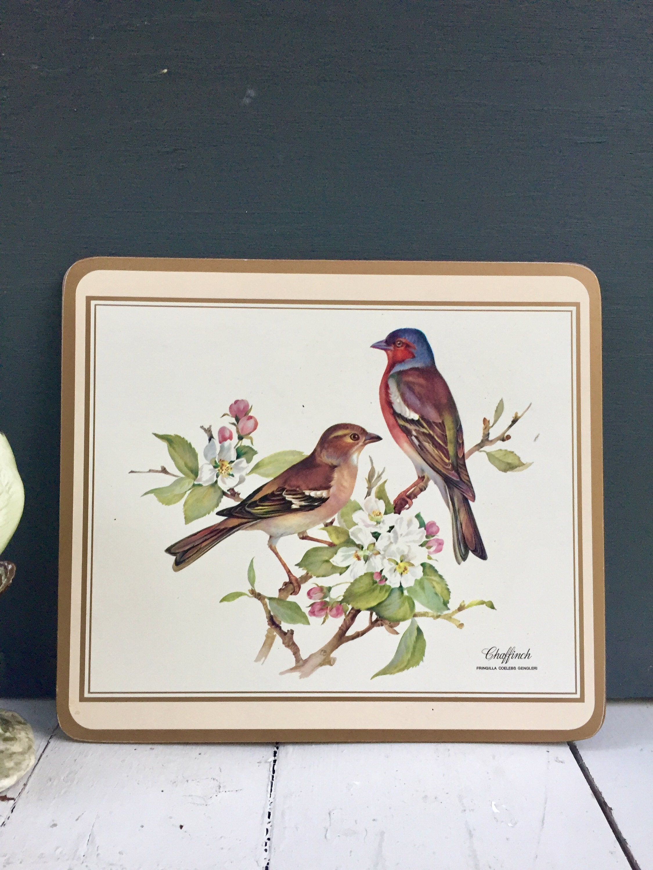 Vintage Bird Wall Decor, Vintage Bird Picture Pair, Vintage Bird Pictures for Framing, Vintage