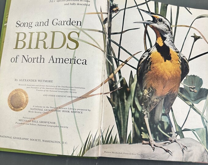 Vintage 1960s "Song and Garden Birds of North America" book by Alexander Wetmore.  Vintage bird book with illustrations, National Geographic