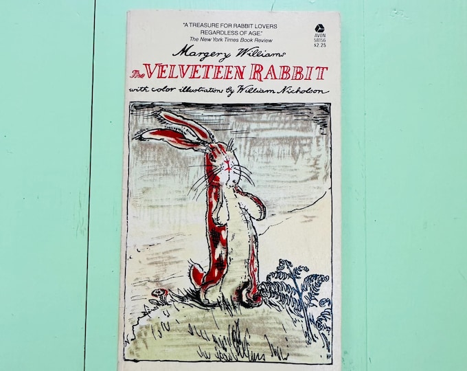 Vintage 80s "The Velveteen Rabbit" Book Avon Paperback Book Color Illustrations Children's Storybook Classic Book Children's Library