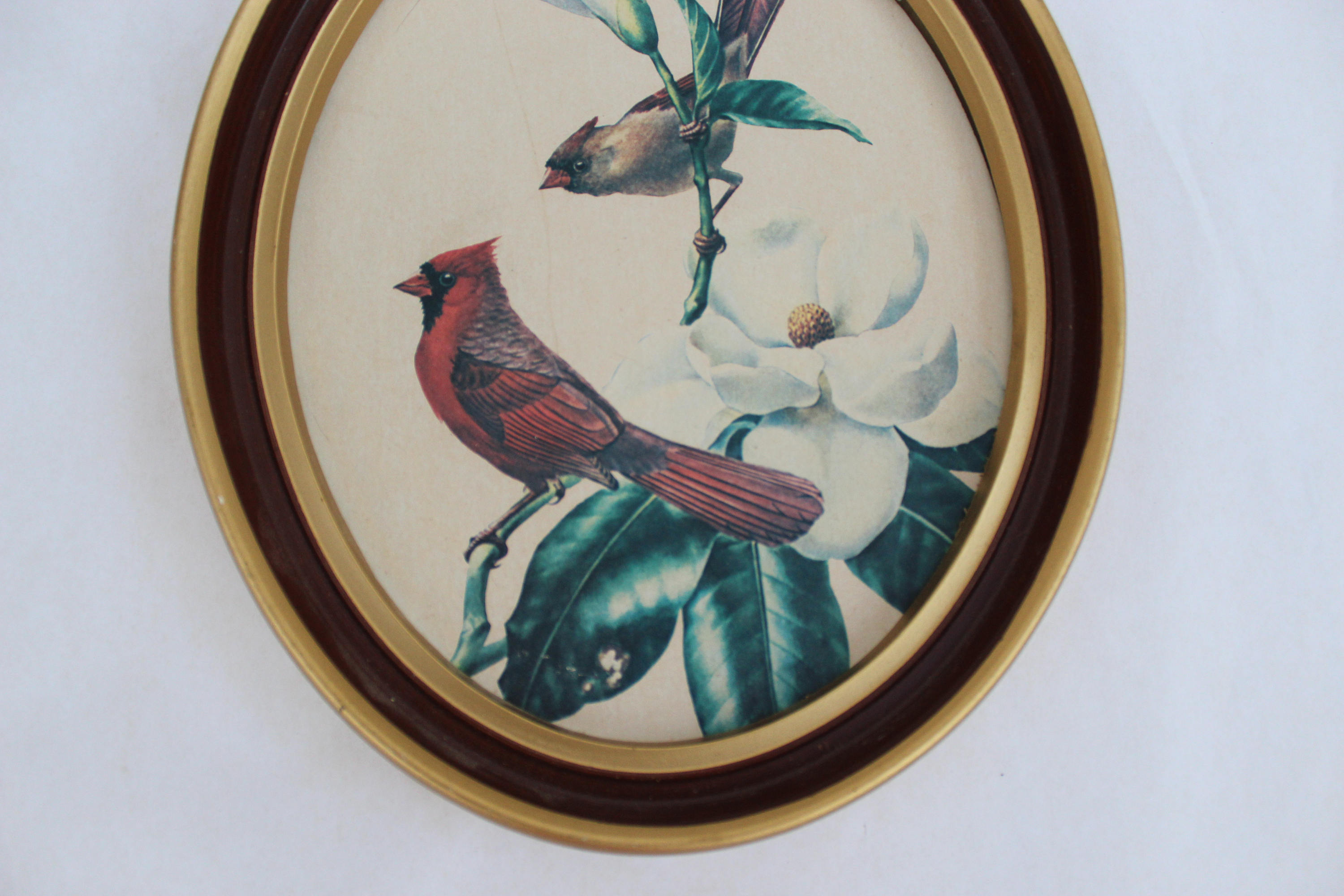 Vintage Framed Bird Print, Vintage Cardinal Bird Picture, Vintage Bird