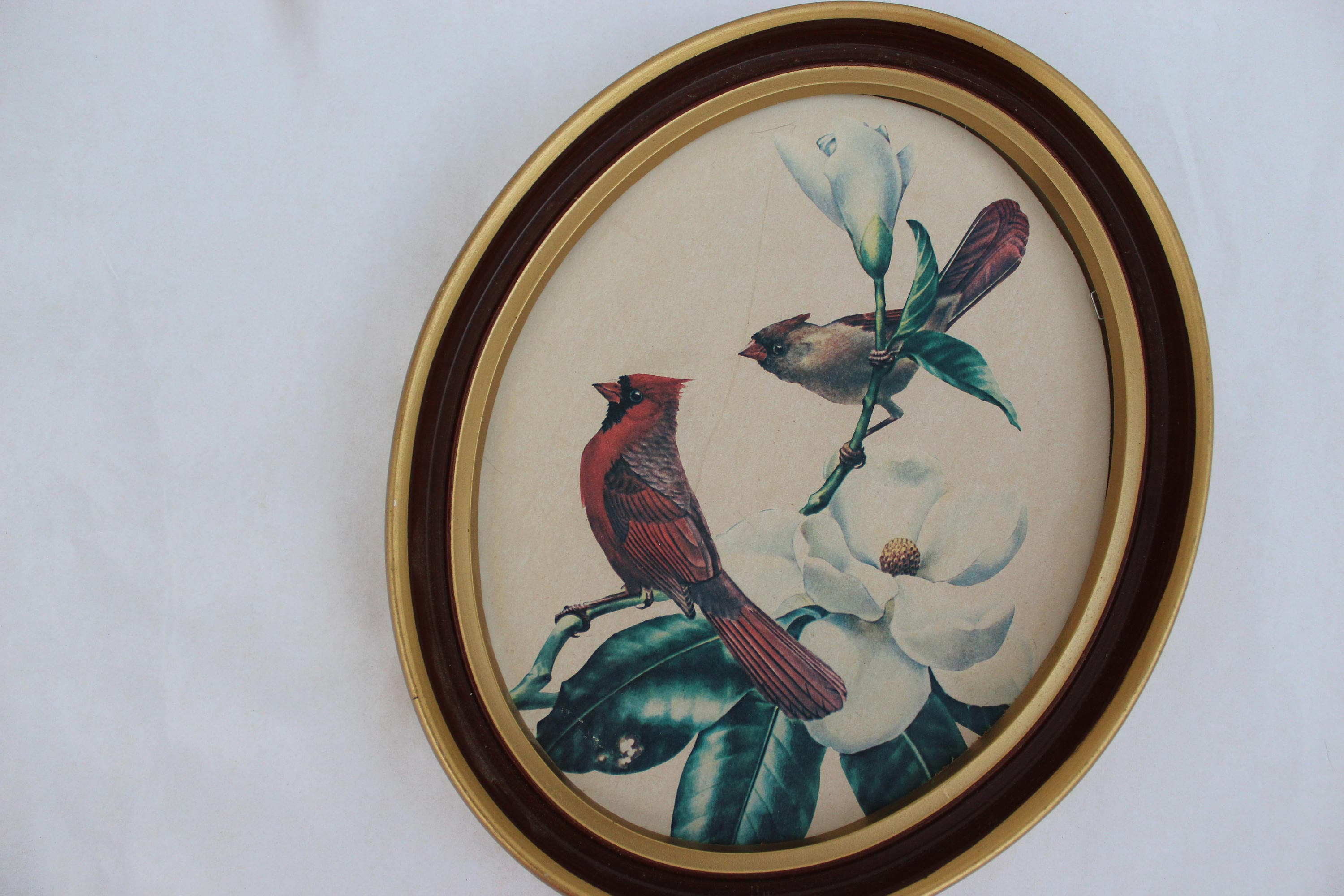 Vintage Framed Bird Print, Vintage Cardinal Bird Picture, Vintage Bird Art, Vintage Bird Wall