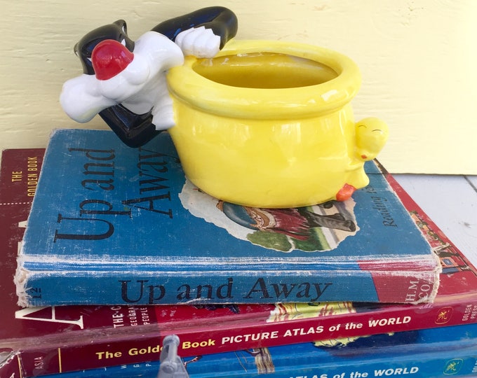 Vintage Sylvester the Cat Planter, Sylvester and Tweety Bird Planter, Vintage Looney Tunes Collectible