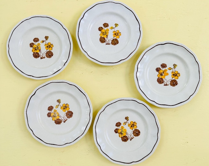 Vintage 70s Kensington Staffordshire Ironstone Plates Canterbury Pattern Set of Five Small Plates Salad Plates Replacement