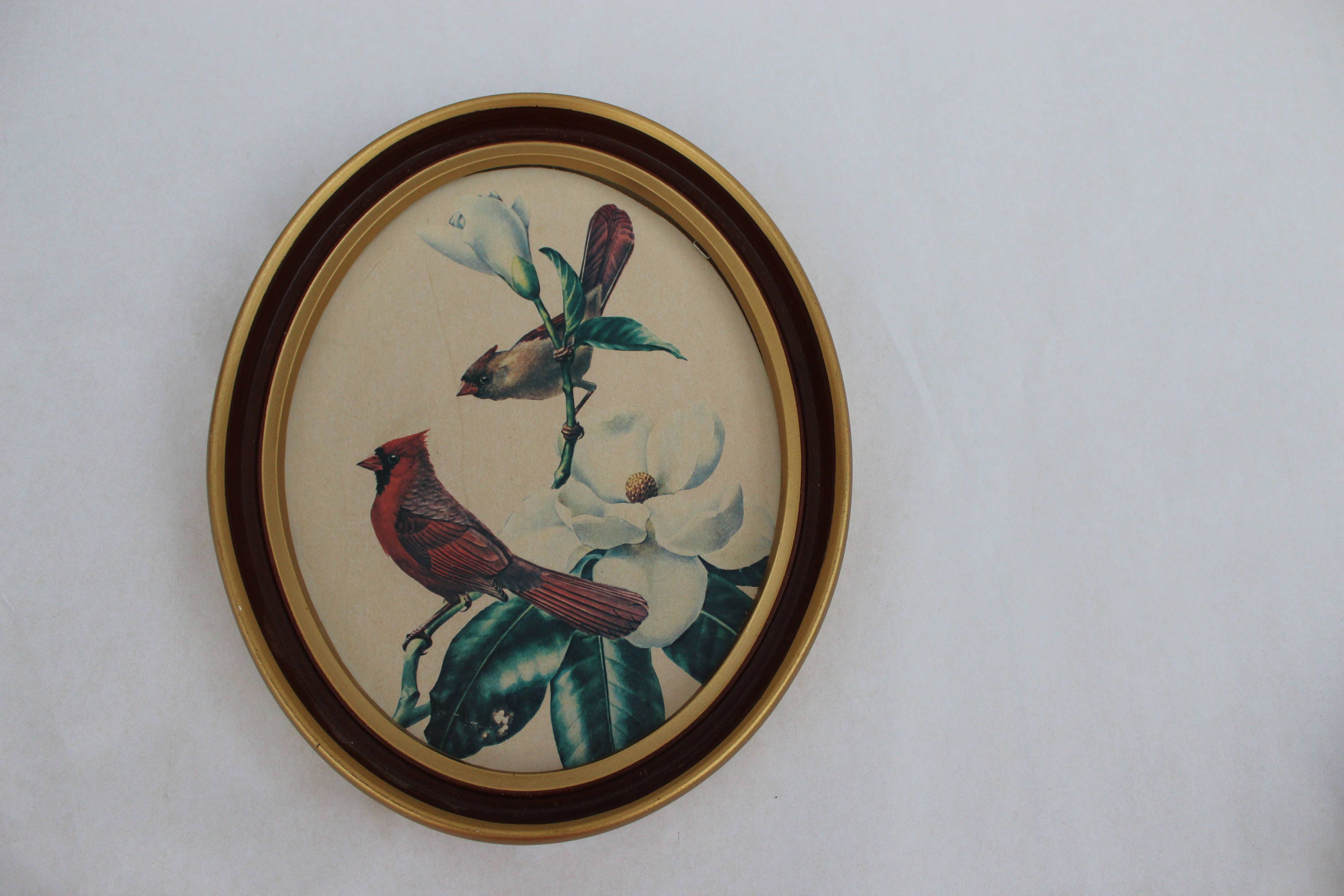 Vintage Framed Bird Print, Vintage Cardinal Bird Picture, Vintage Bird Art, Vintage Bird Wall
