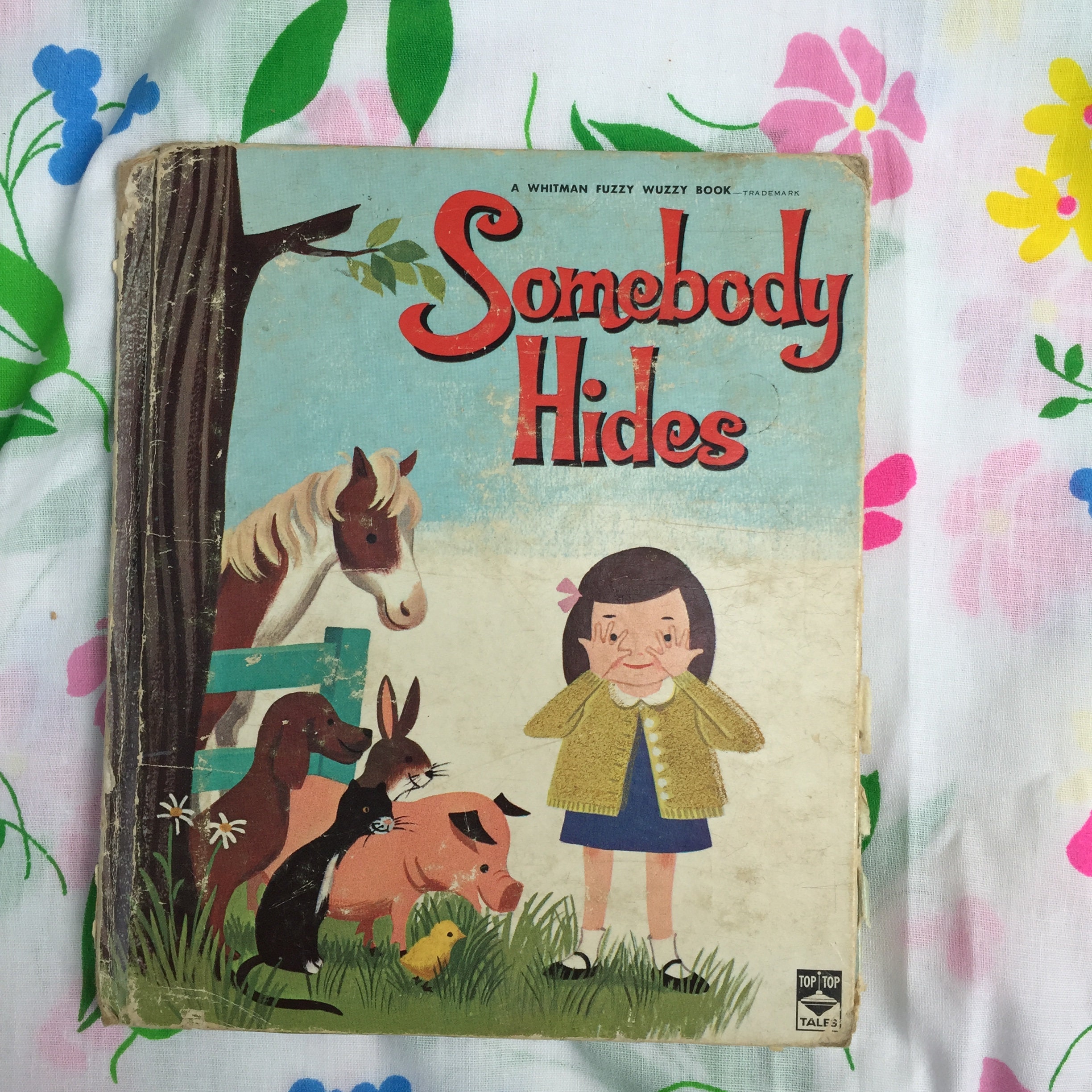 Vintage 1960s, Somebody Hides Book, 1960s Children's Book, Mid Century
