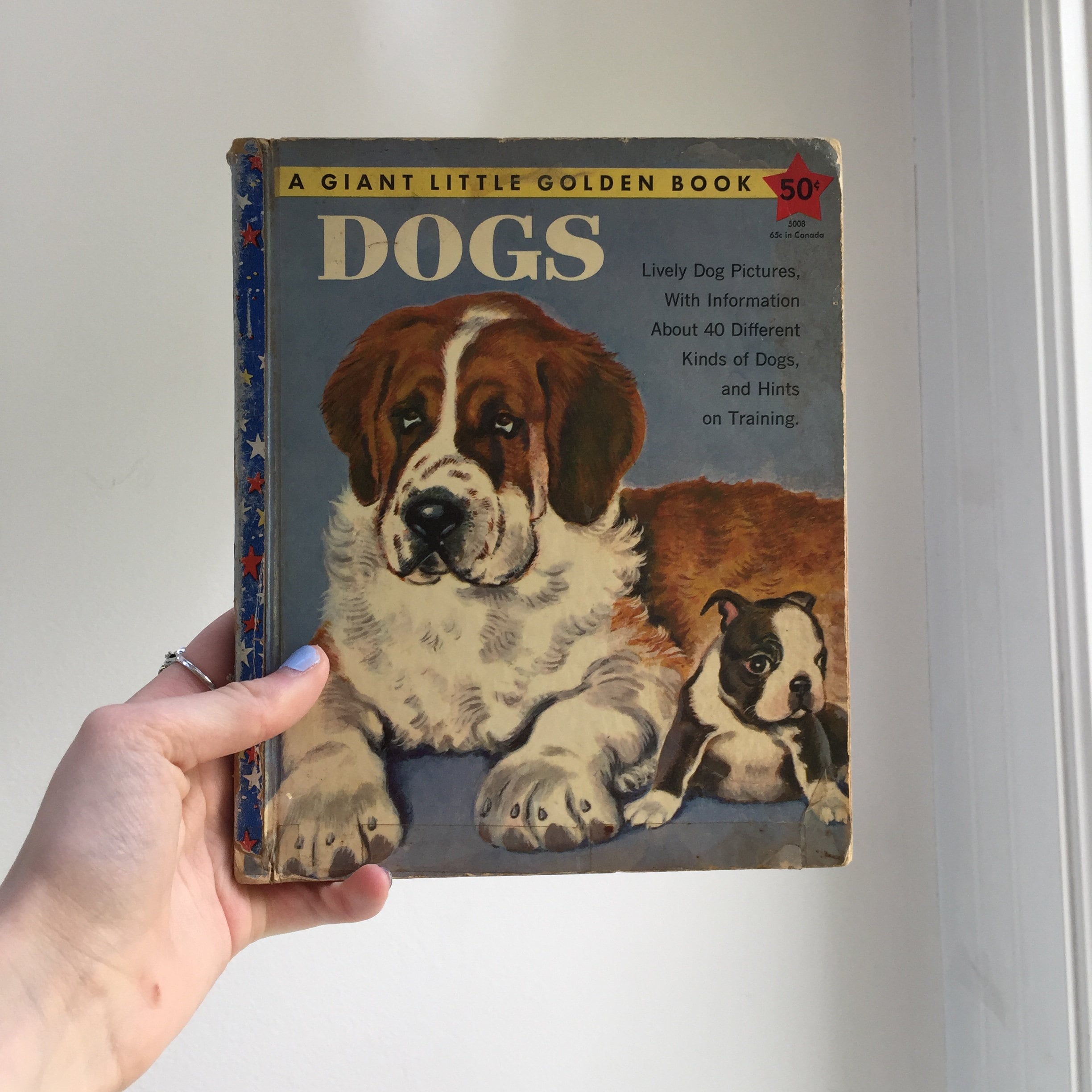 Vintage 1950s Book, Dogs, Vintage Children's Dog Book, Mid