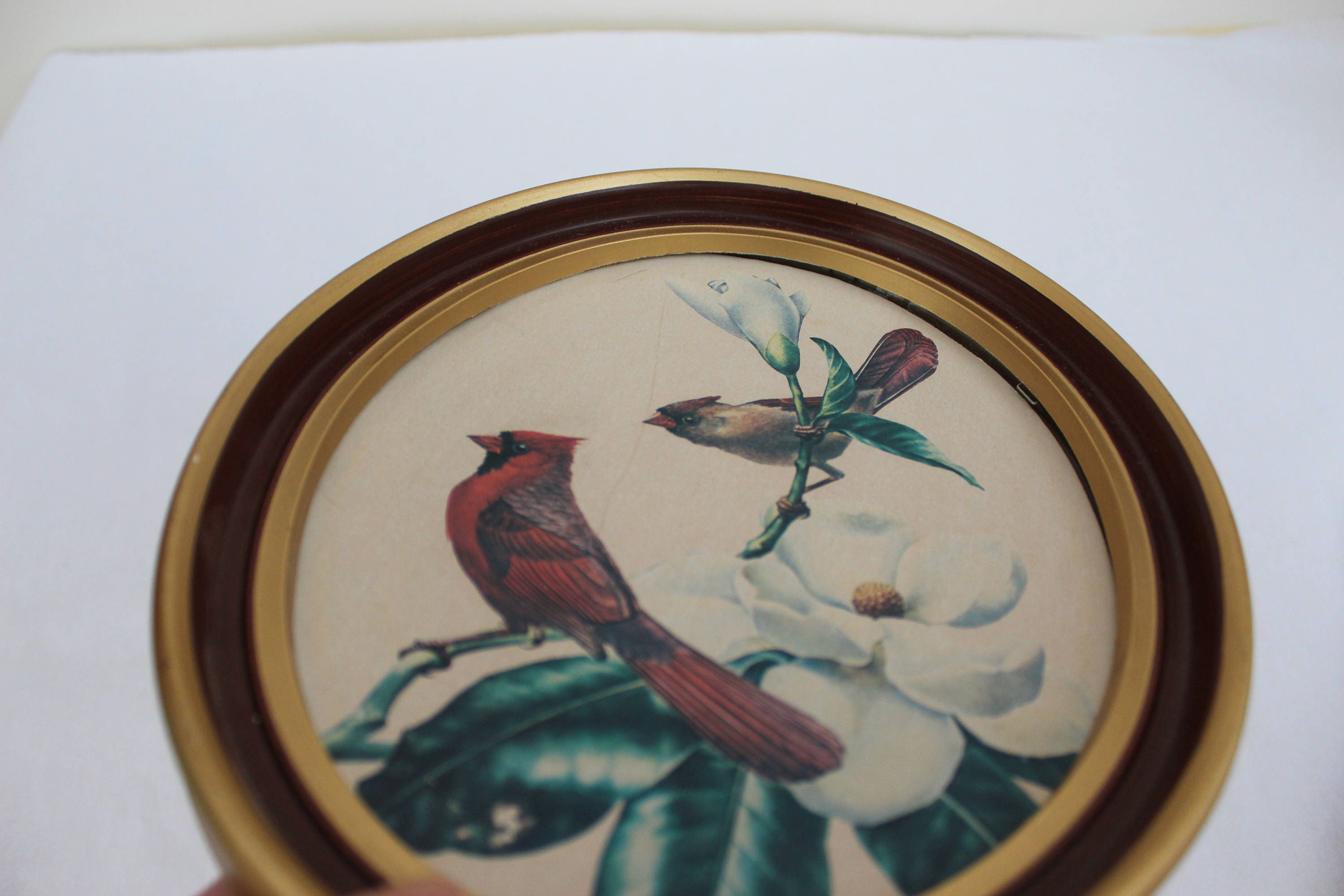 Vintage Framed Bird Print, Vintage Cardinal Bird Picture, Vintage Bird Art, Vintage Bird Wall
