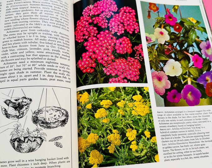 Vintage 1972 "Good Housekeeping Illustrated Encyclopedia of Gardening" Book, Volume One of Sixteen Books, Vintage Gardening Book
