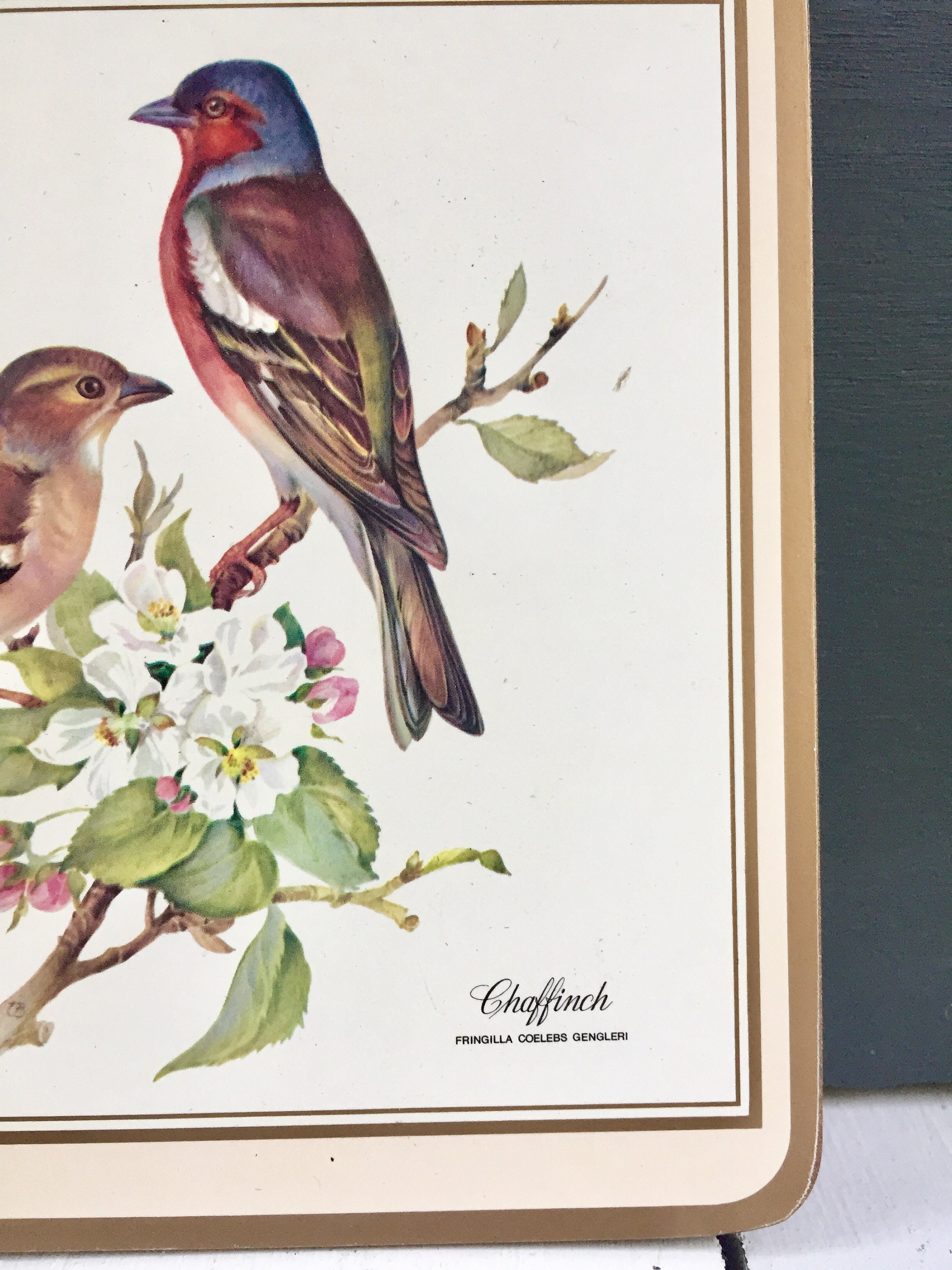 Vintage Bird Wall Decor, Vintage Bird Picture Pair, Vintage Bird