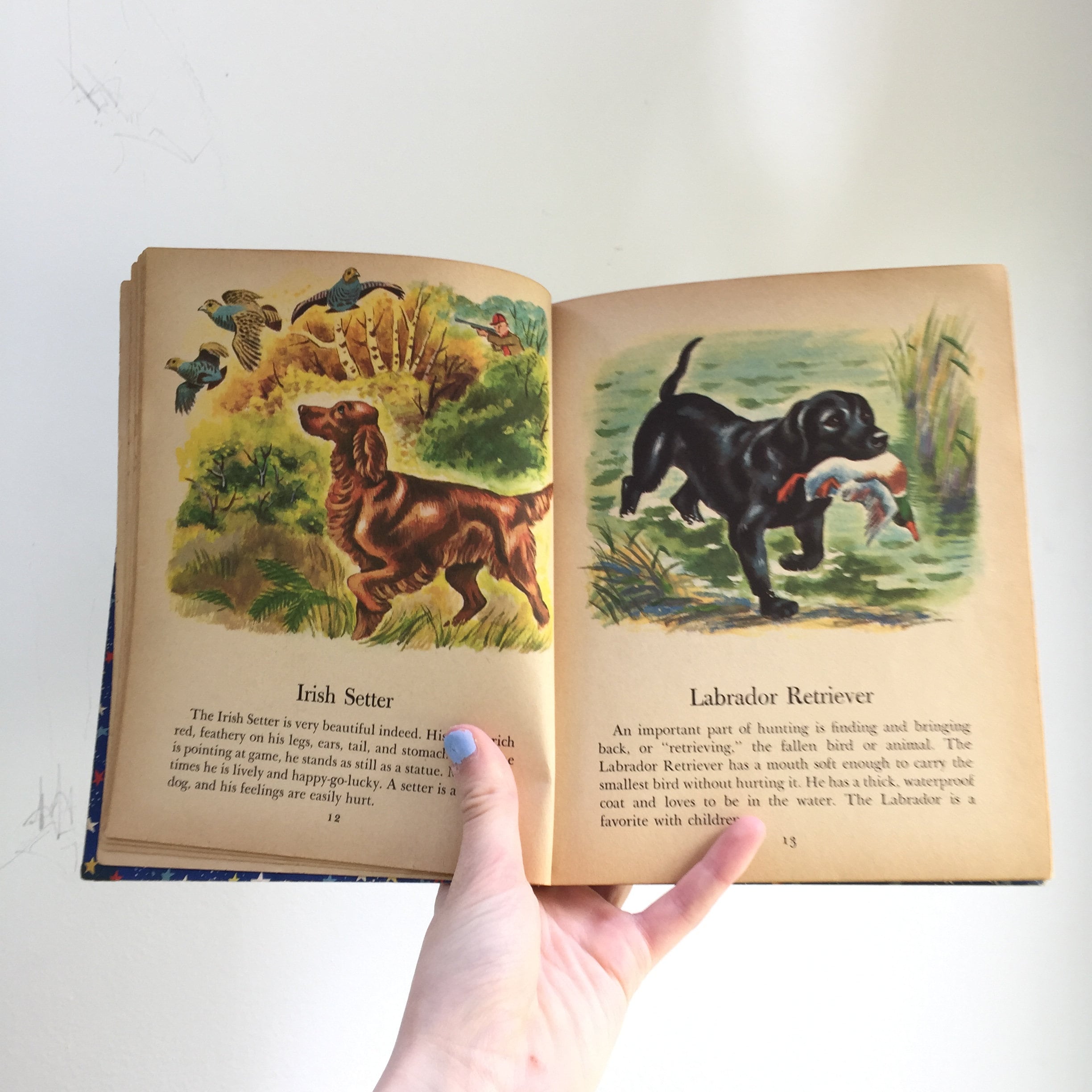 Vintage 1950s Book, Dogs, Vintage Children's Dog Book, Mid