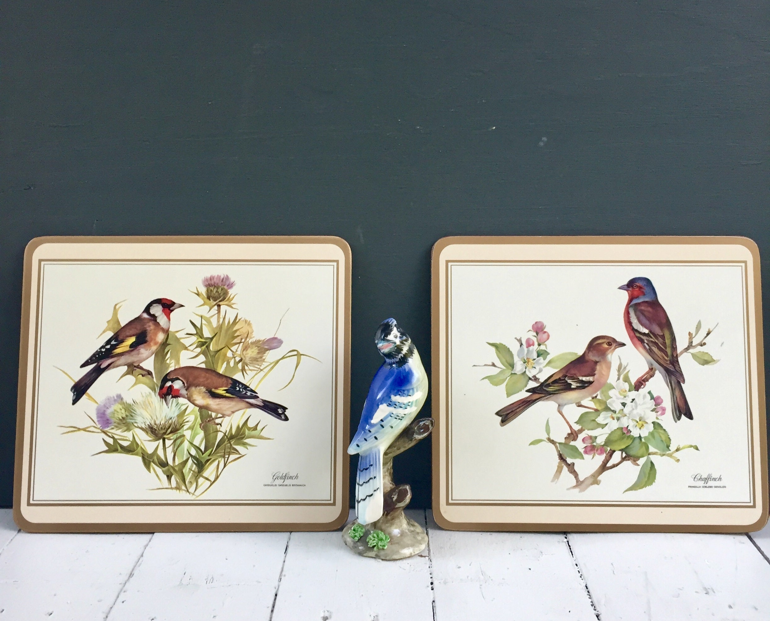 Vintage Bird Wall Decor, Vintage Bird Picture Pair, Vintage Bird