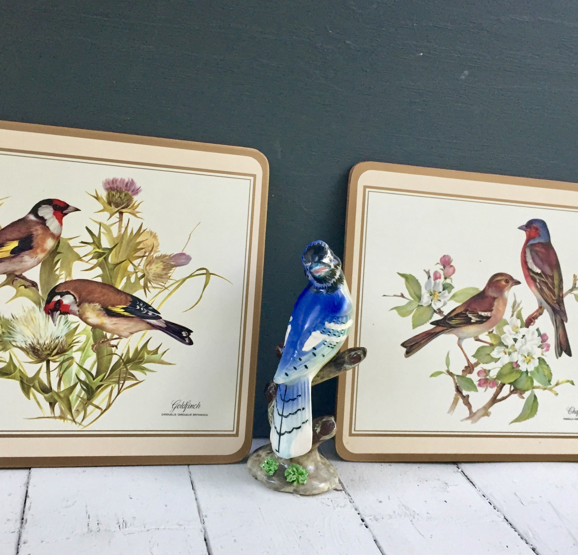 Vintage Bird Wall Decor, Vintage Bird Picture Pair, Vintage Bird Pictures for Framing, Vintage