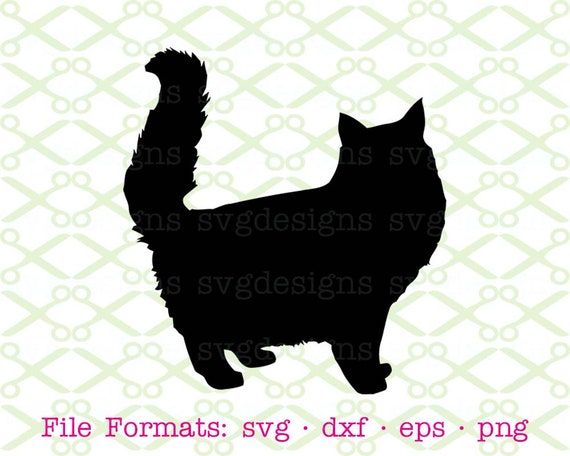 Persian cat svg clipart White Print on Black Persian cat silhouette vector graphic art artwork digital design cat for logo cut file cricut