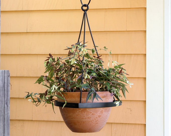 Modern Hanging Planter with 12" Pot