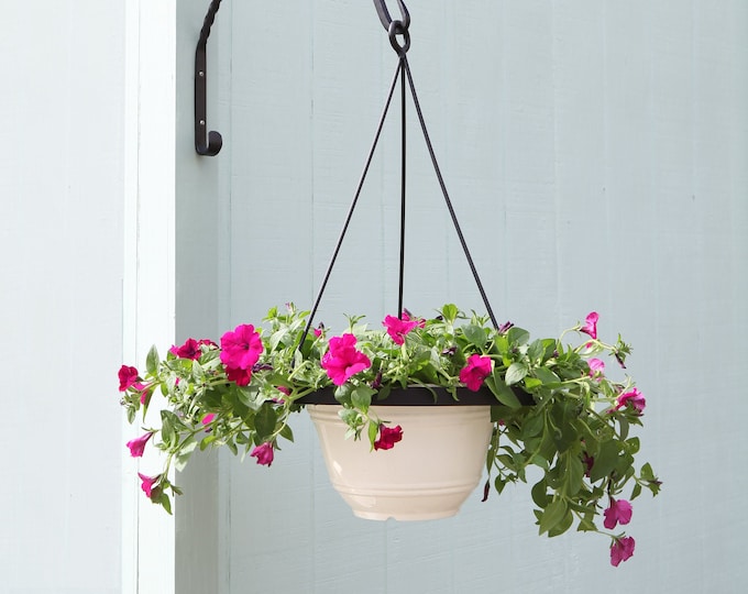 Modern Plant Hanger for 12-inch pots