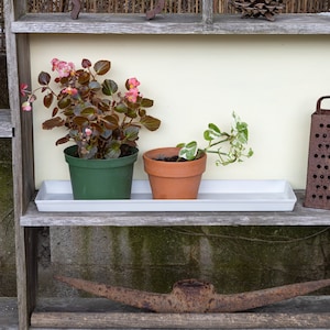 May include: Two potted plants, one with pink flowers and one with green leaves, sit on a white shelf with a rusty metal grater and a rusty pickaxe on the shelf below.