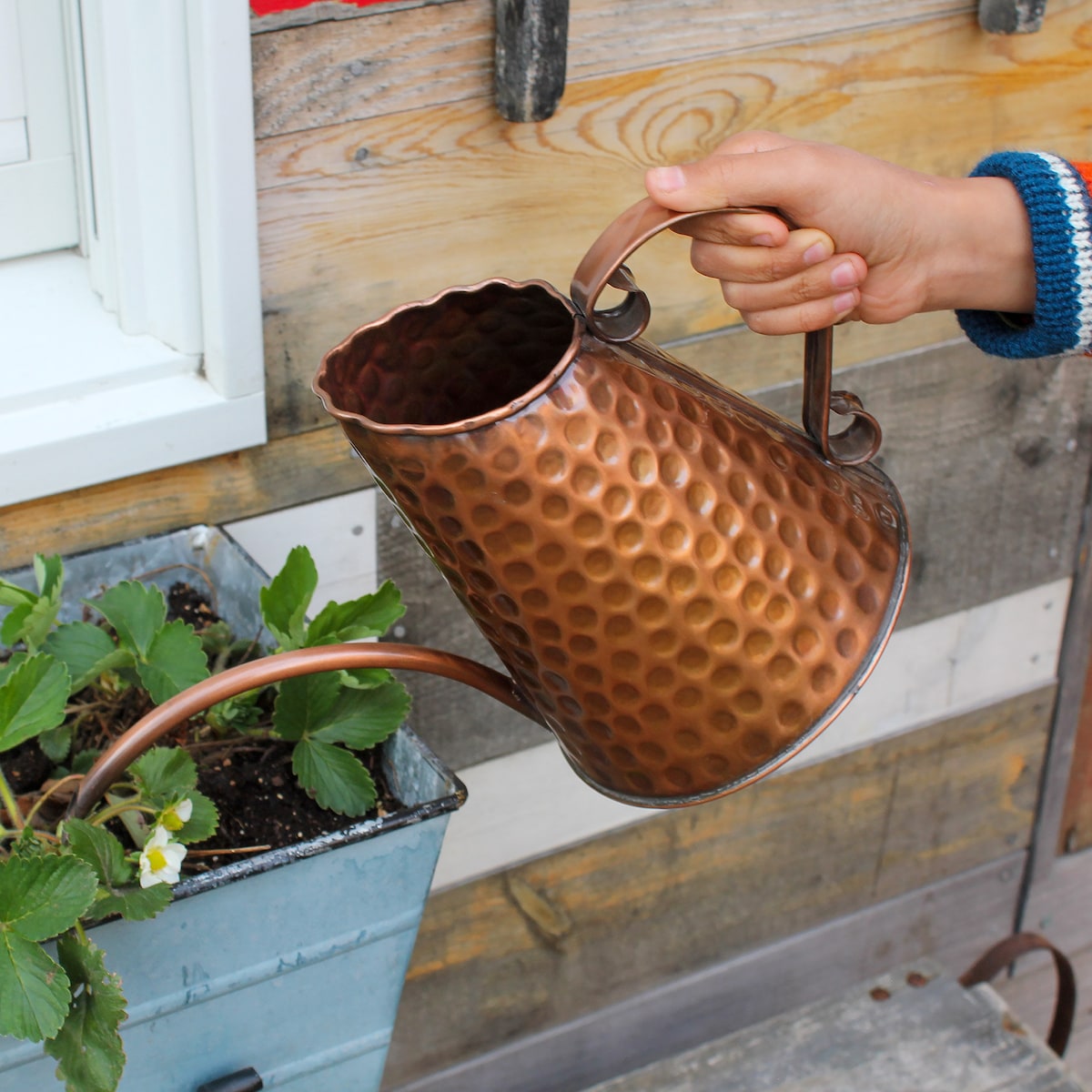 French Market Solid Copper Watering Can - Etsy
