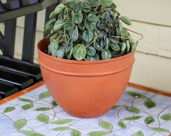 Small - Galvanized Steel Bowl -  Burnt Sierra Patina Finish