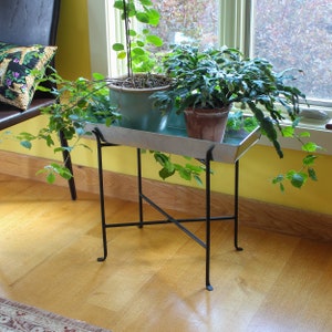 May include: A black metal plant stand with a galvanized metal tray holds two potted plants. One plant has green leaves and is in a blue pot. The other plant has dark green leaves and is in a brown pot. The stand is on a light wood floor.